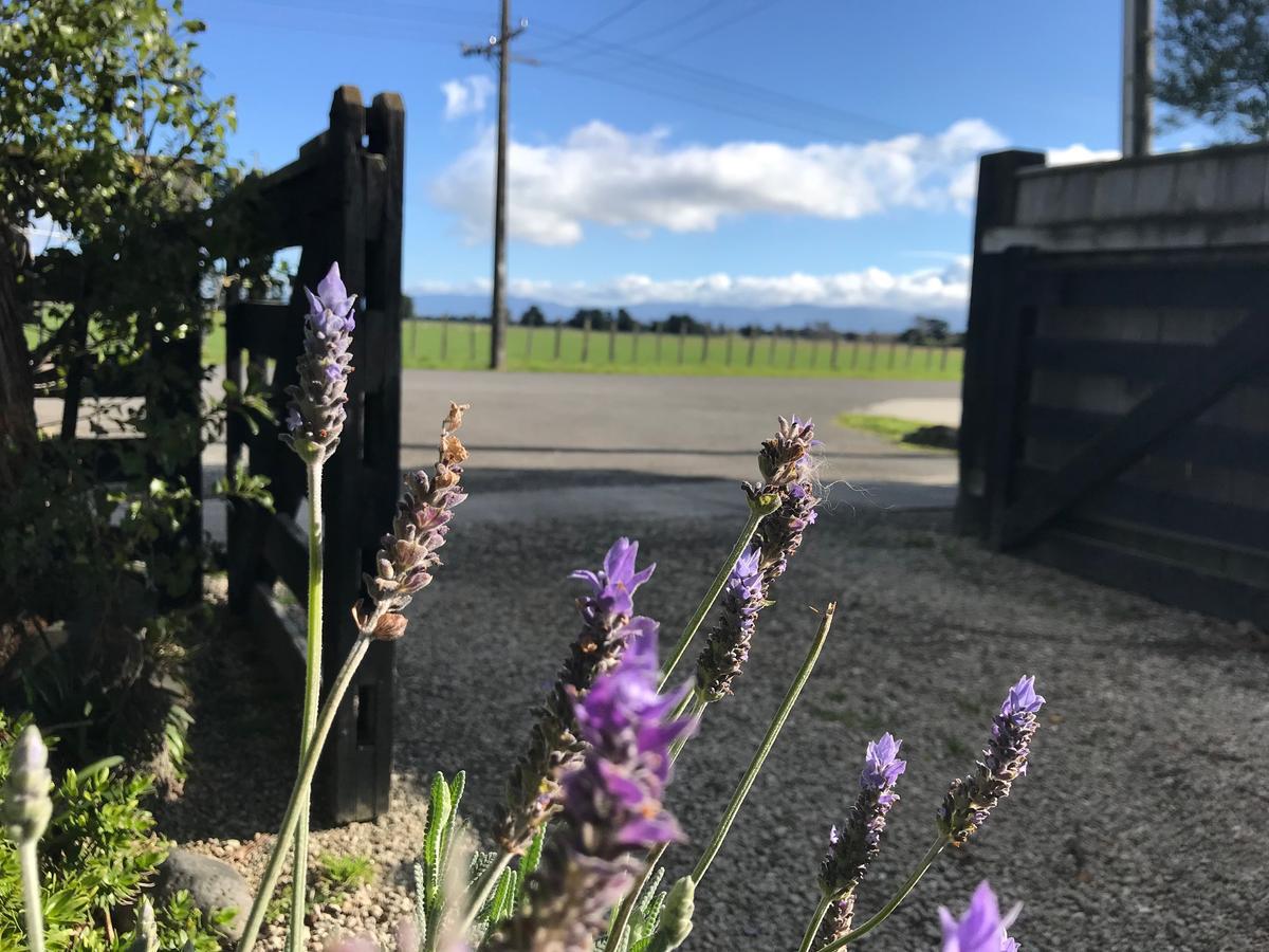 Lavender53 Martinborough Exterior foto